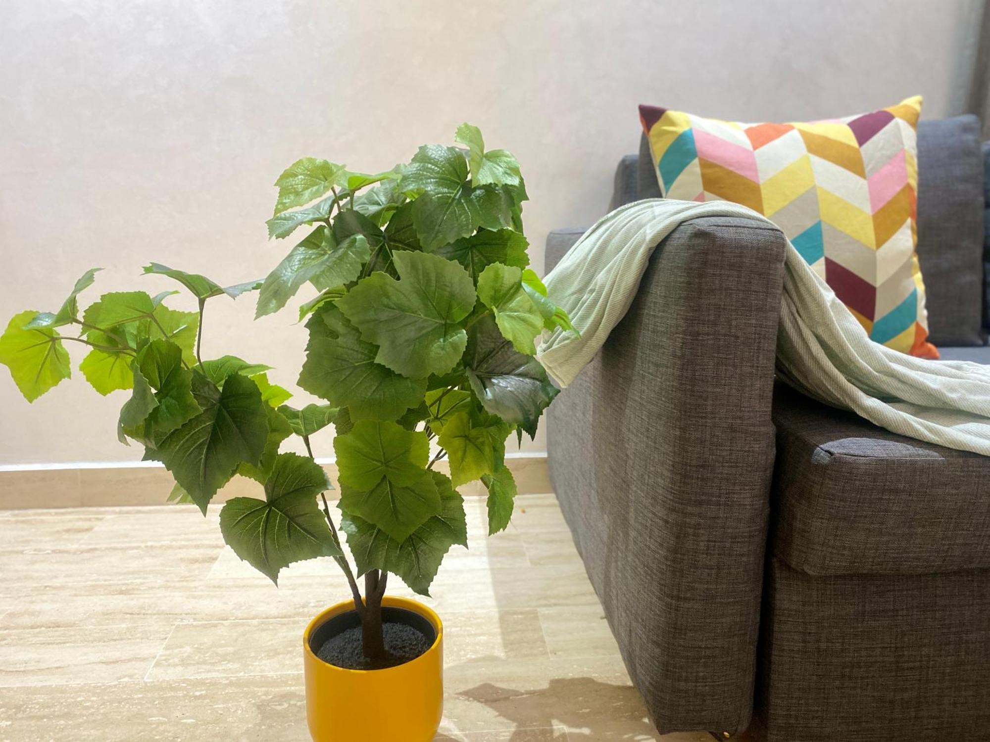 Superbe Appartement Tres Bien Situe Welcome Stay Casablanca Eksteriør billede